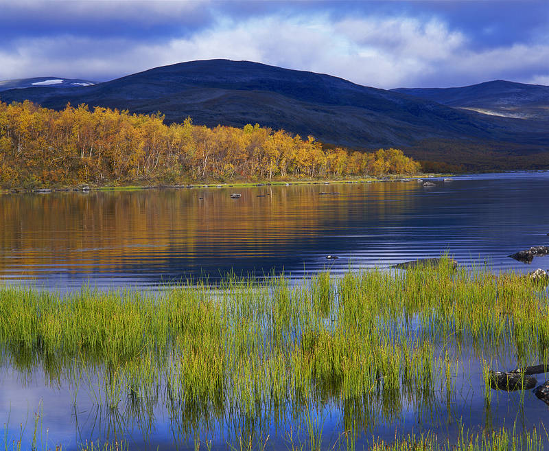 Lappland Finnland Youth Of Golden Age